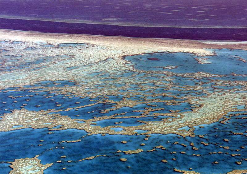 Great Barrier Reef 1001 Great Barrier Reef, Queensland
